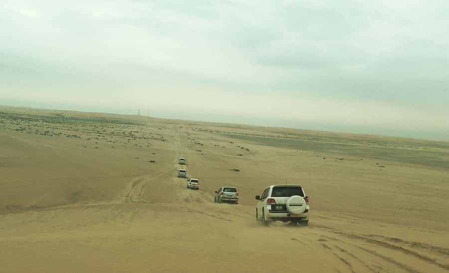 Relax Desert Safari, Sand Dune Bashing (Private Safari) - From Doha to Qatar’s southeast desert
