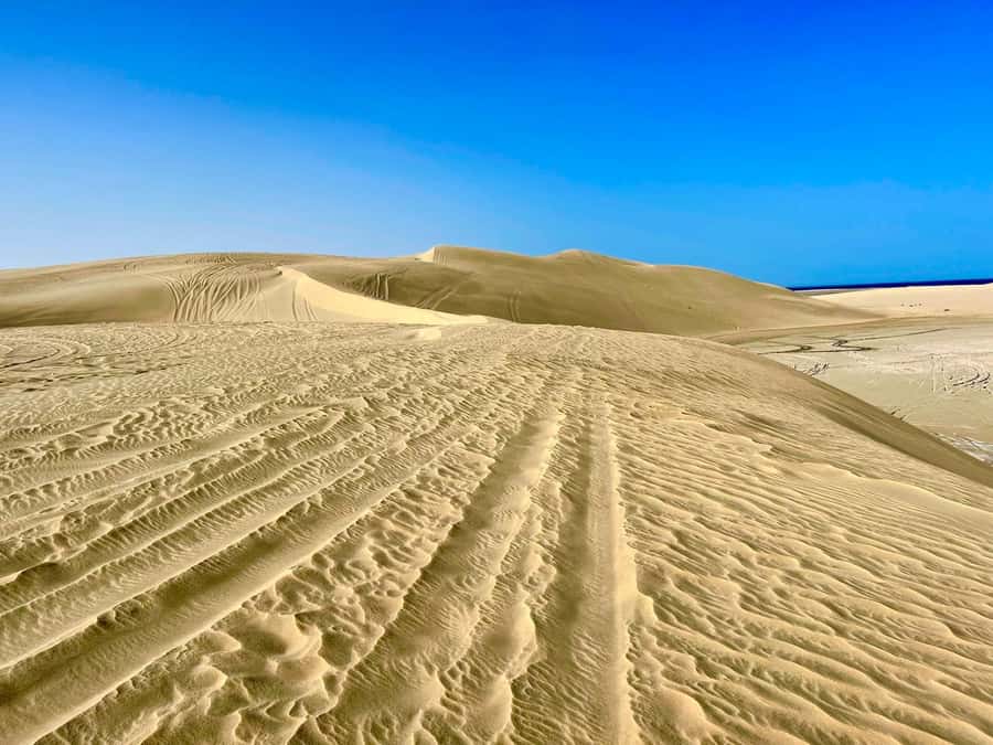 Relax Desert Safari, Sand Dune Bashing (Private Safari) - Who will enjoy this safari most?