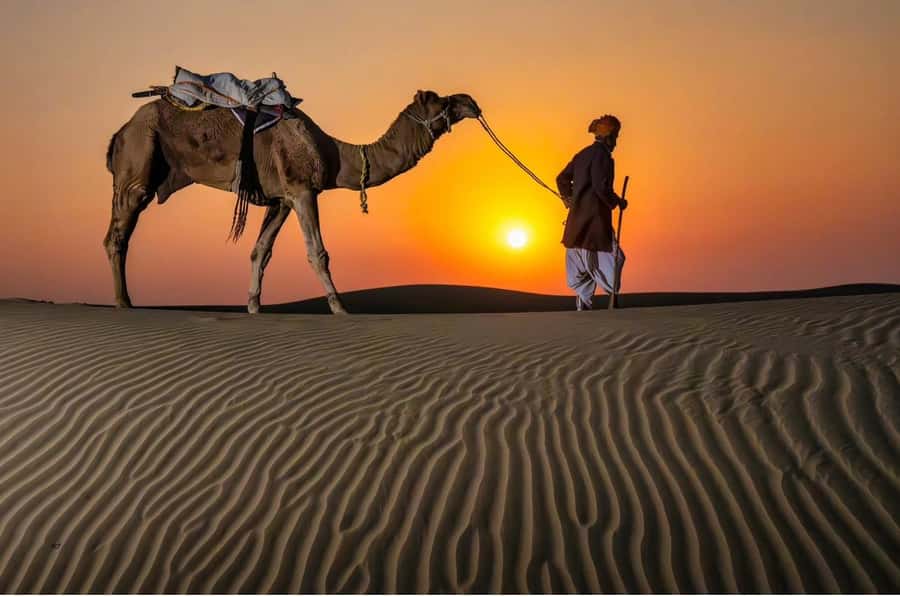 Relax Inland Sea Tour, Desert Safari, Camel Ride, SandBoard - Leaving Doha for Mesaieed’s red dunes