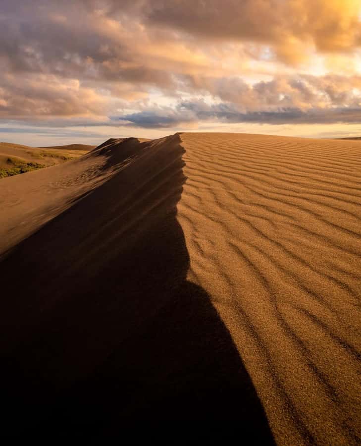 Relax Inland Sea Tour, Desert Safari, Camel Ride, SandBoard - Sandboarding on the high red dunes