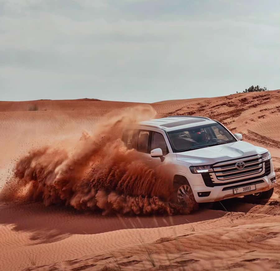 Relax Inland Sea Tour, Desert Safari, Camel Ride, SandBoard - Shared or private: which option works better?