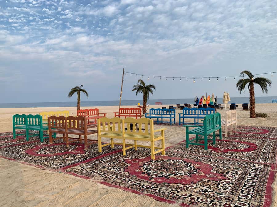 Sealine Activity: Monster Bus Safari & Desert Beach Access - Activities included, and the extra-cost choice