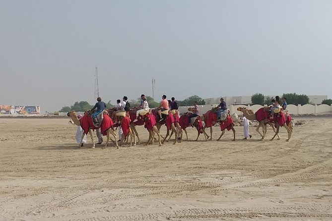 Sharing or Private Safari, Sand Boarding, Camel Ride, inland Sea Quick swim - The Inland Sea stop and the quick swim
