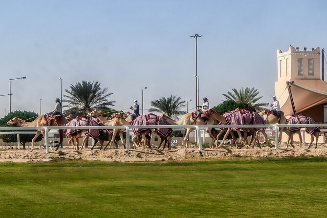 Sheikh Faisal, Camel Race Track visit - Leaving Doha for the Sheikh Faisal Museum