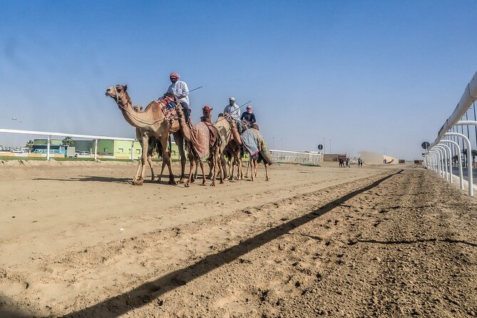 Sheikh Faisal, Camel Race Track visit - What the private format adds