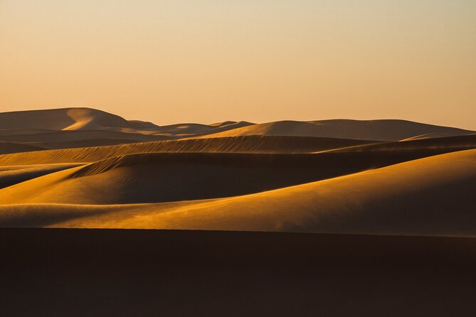 Special Private Arabic Setup with Desert safari experience. - Why this private Doha safari feels different