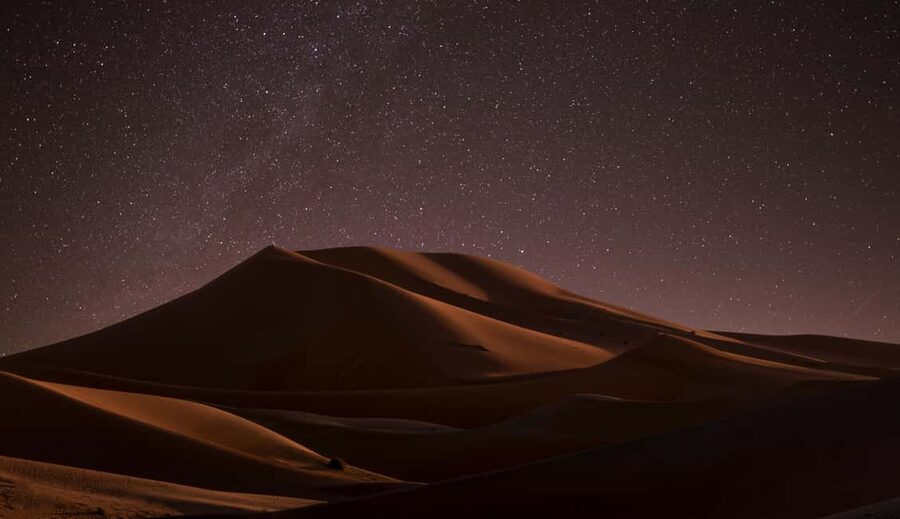 Star Studded Night Desert Safari Doha Qatar - Key points before you book