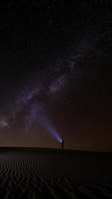 Star Studded Night Desert Safari Doha Qatar - Who will enjoy this tour most