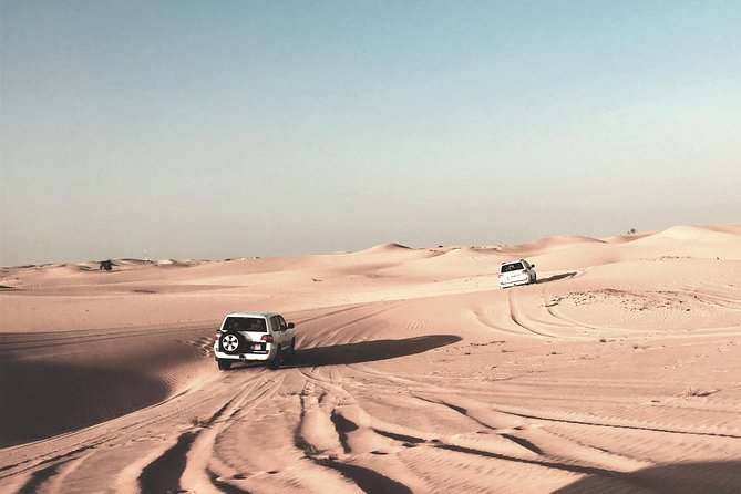 Sunrise Desert Safari in Qatar: An Unforgettable Adventure - Camel riding and the quieter side of the desert
