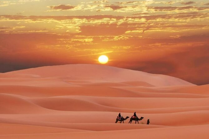 Sunrise or Sunset , Desert Safari Tour in Heart of Qatar - Key things to know before you book
