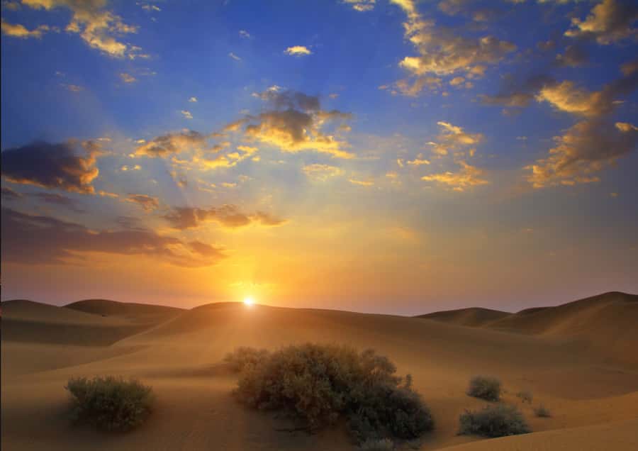 Sunrise : Privare Dune Bashing, Camel Ride & Sandboarding - Sandboarding on the Golden Slopes