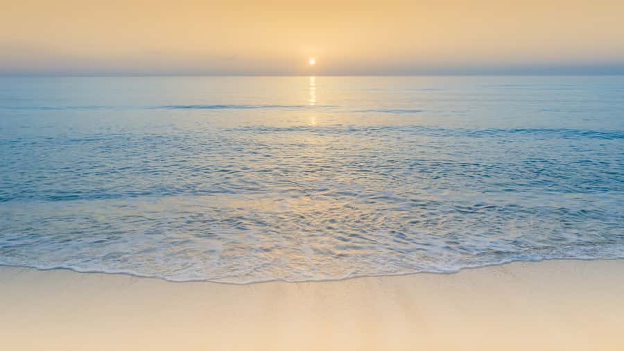 Sunrise : Privare Dune Bashing, Camel Ride & Sandboarding - A Twenty-Minute Camel Ride at Sealine