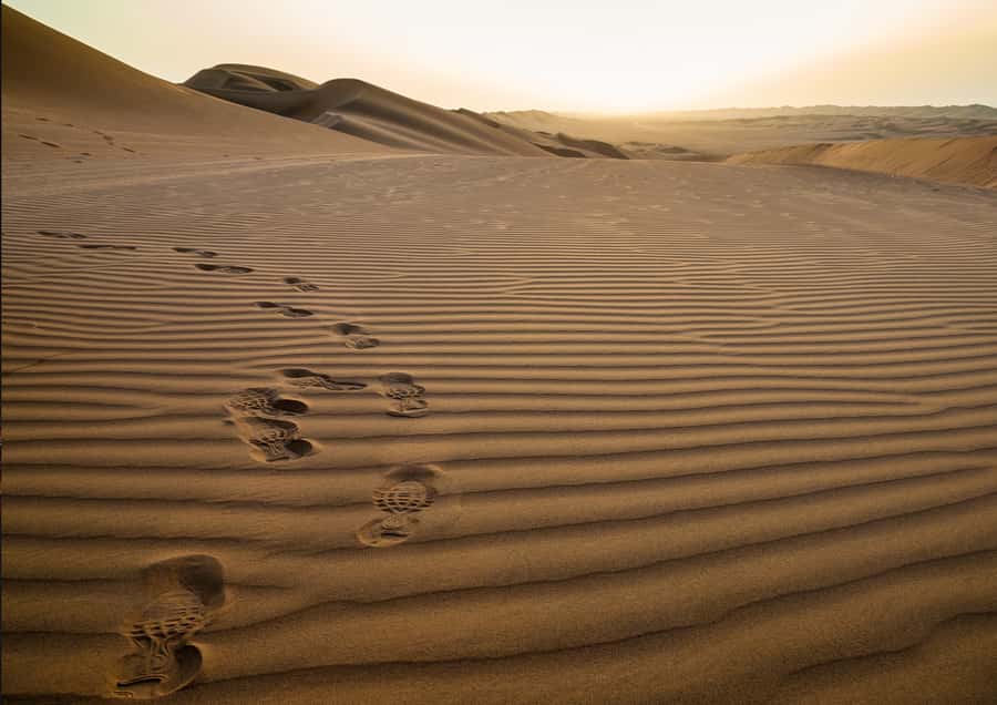 Sunrise : Privare Dune Bashing, Camel Ride & Sandboarding - What $30 Really Gets You