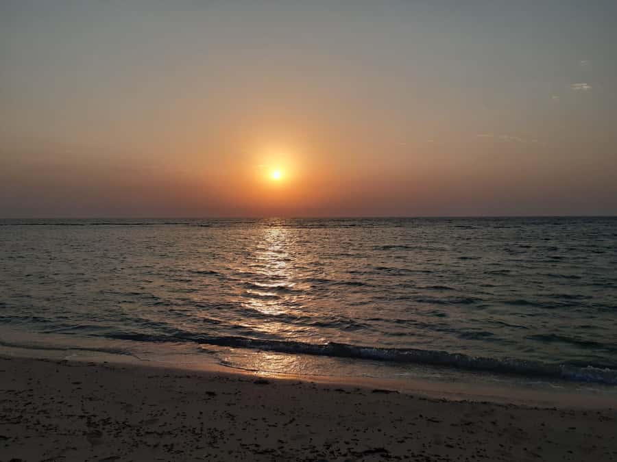 Sunrise : Privare Dune Bashing, Camel Ride & Sandboarding - Timing, Booking, and Small Practical Details