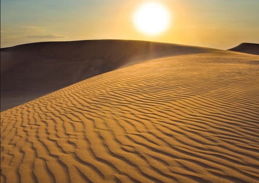 Sunrise : Privare Dune Bashing, Camel Ride & Sandboarding - Final Decision: A Good Short Introduction to Qatar’s Desert