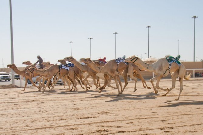 Sunset Keshta at Zekreet | Art, Adventure & Arabian Picnic - The Keshta setup near the sculptures