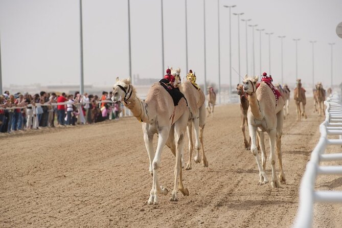 Sunset Keshta at Zekreet | Art, Adventure & Arabian Picnic - Is $122 per person fair value?