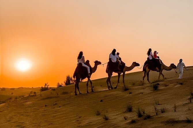 Thrilling 4-Hour Dune Bashing & Camel Ride Safari to Inland Sea - A short camel ride at the local camp