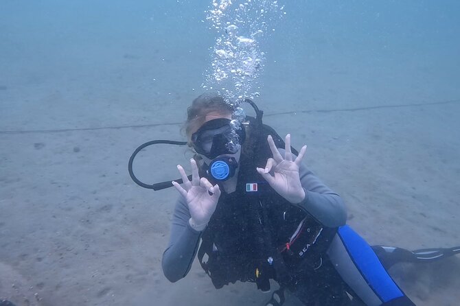 Try Scuba dive in Qatar - The certificate and what it really means