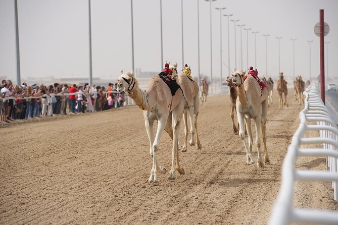 West Coast and Camel Race Track Visit - Leaving Doha for Al-Sahaniya