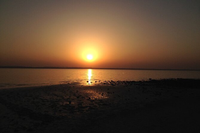West Coast and Camel Race Track Visit - Who will get the most from this outing