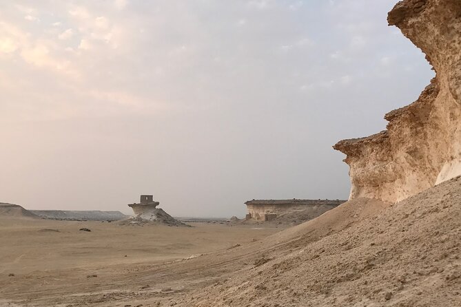 West Coast and Camel Race Track Visit - How the tour compares with a standard Doha outing