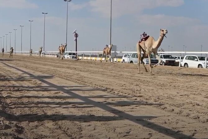 West Of Qatar, Mushroom Rocks, Camel Racing Track, Richard Serra - Mushroom Rocks: memorable shapes, uncertain timing