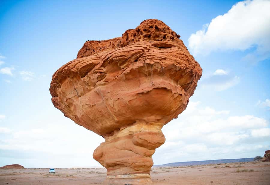 West of Qatar Richard Serra, Mushroom Hills, CamelRace track - Key points to know before booking