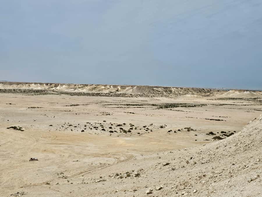 West Qatar-Doha Richard sierra,camel race,mushroom rock - The umbrella rock and Ras Abrouq