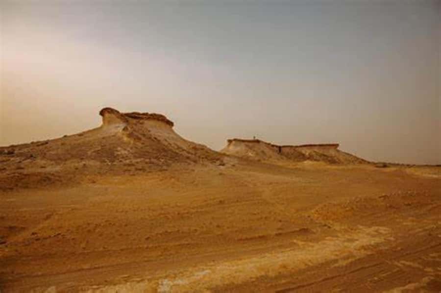West Qatar-Doha Richard sierra,camel race,mushroom rock - What the 4WD ride really adds