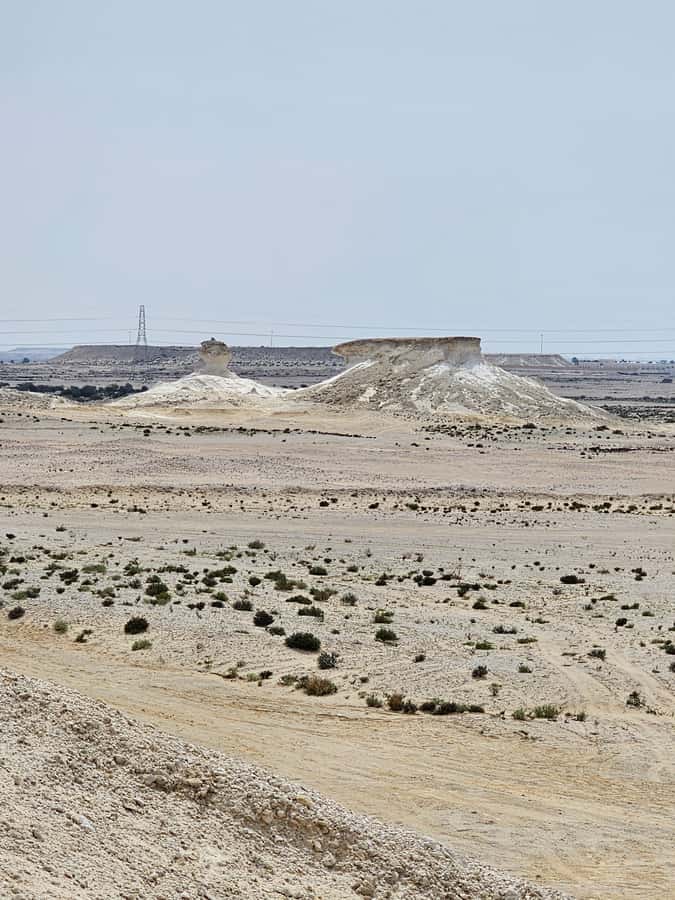 West Qatar-Doha Richard sierra,camel race,mushroom rock - Is $67 a good price for four and a half hours?