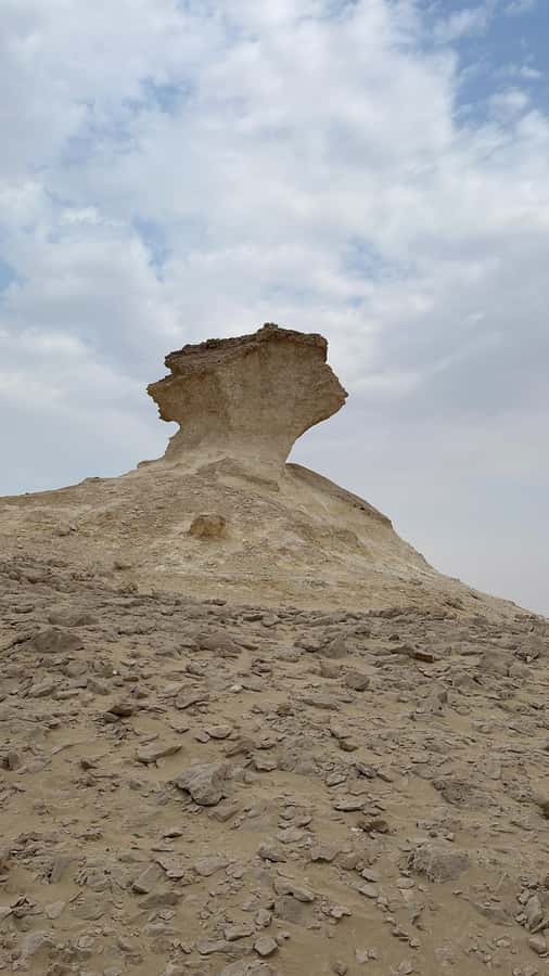 West Qatar tour to Richard Sierra sculpture,Umbrella Rock - Who should book this west Qatar tour?